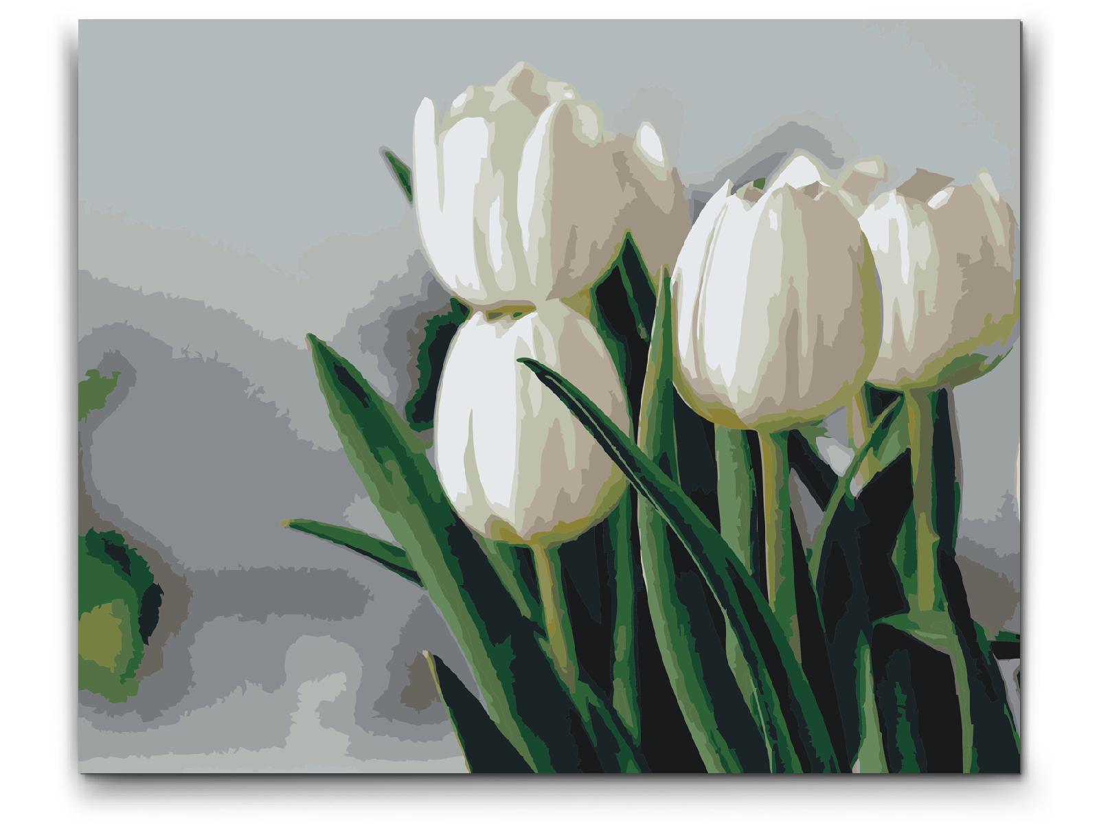 Painting by Numbers - White Tulips